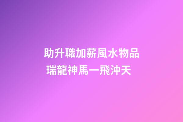 助升職加薪風水物品 瑞龍神馬一飛沖天